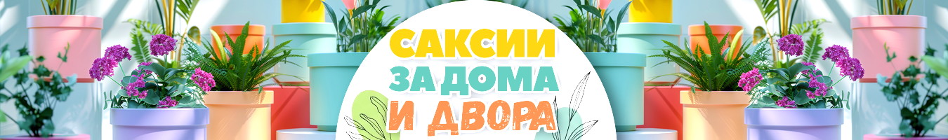 ������ �� ���� � �����