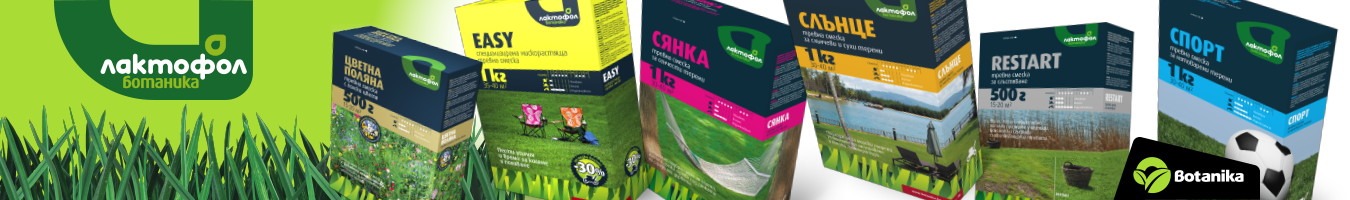 ������ ������ ��������