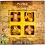 Expert Wooden Puzzles -   4  3D    "Casse-Tetes" - 