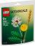 LEGO Botanicals - ������ ����� - ������ ����������� - �������