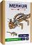 ������� ����������� ����������� - Merkur - 130 ����� - �������