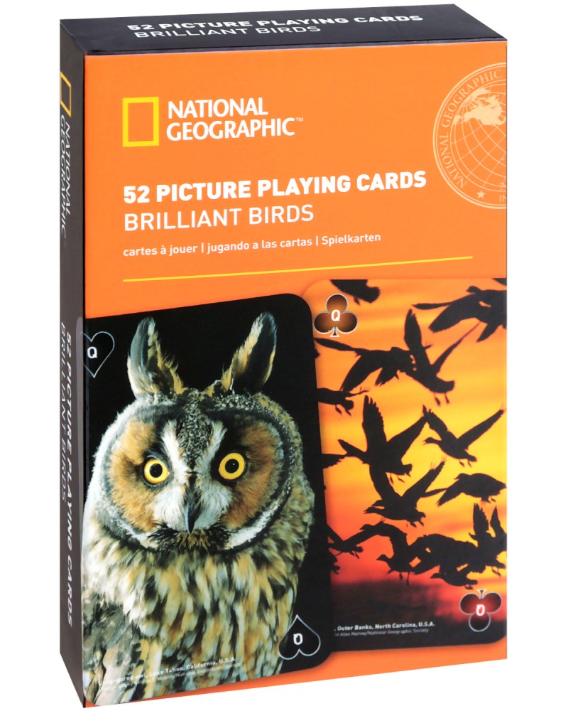 National Geographic: Brilliant Birds -    - 