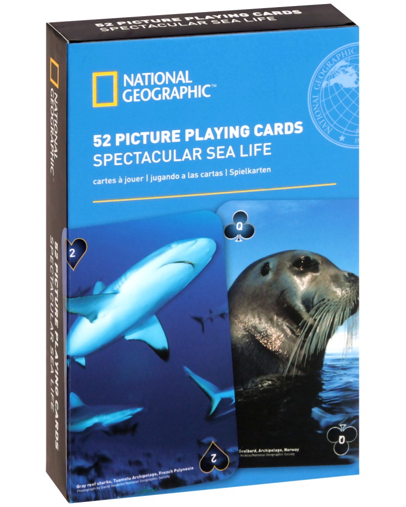 National Geographic: Spectacular Sea Life -    - 