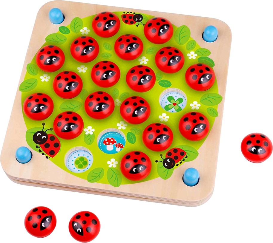 ���� ���� - ������� - ������ �������� � ��������� - ����