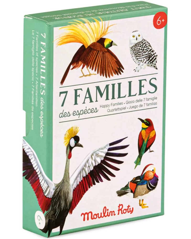 7 Families -   -    - 