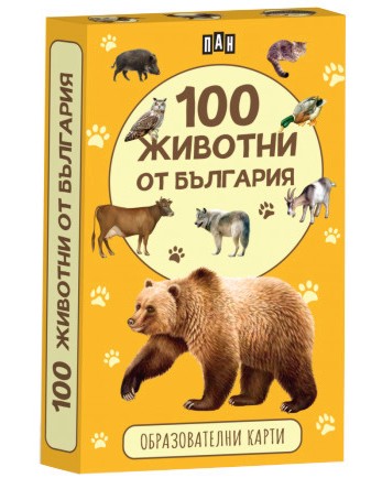 100    -   52   - 