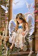 ����� ����� - 