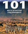 101      - 