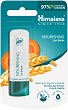 Himalaya Nourishing Lip Balm - 
