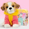 ������� ������� ���� ������� ����� - Studio Pets - 