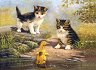 ��������� ��� ������� - ����� �������� - 