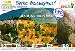 DVD �������� ��������: ��������� ������ DVD Postcard: A Stone Wedding - 