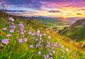 �������� �� ������ - 