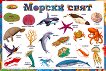 ����� ������ �����: ������ ���� - 