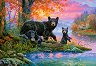 ����� �� ������� - 