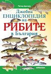 ������ ������������ �� ������ � �������� - 