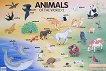 ������ ����� �� ��������� ����: Animals of the World 2 - 