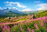 ��������, ����� - 