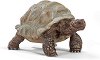 ������� �� ��������� ���������� - Schleich - 