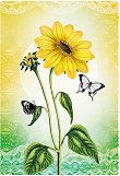 ������������� �������� - ����� - 