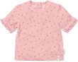    UV  Little Dutch - 