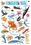 ������ ������ ����� �� ��������� ����: Marine Life - 