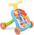 ���������� ����� 2 � 1 Musical Stroller - 
