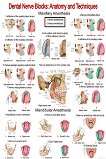 Dental Nerve Blocks: Anatomy & Techniques - 