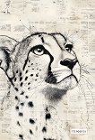 �������� � ������ ����������� - 
