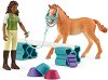 ������� �� ����� � ������ ������ ����� - Schleich - 