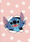 �������� � ������ ������ Stitch - ����