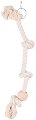     Trixie - 