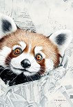 �������� � ����� ����������� - 