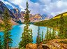 ������� ������, ���������� ���� ����, ������ - 
