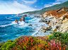 �������� ���������� �� ����������, ��� - 