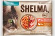 ������� �� ����� SHELMA Kitten - 