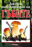 ������ ������������ �� ������ - 
