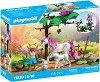 Playmobil - ����� �� ���� � ����� ��������� - 