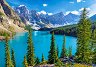 ������ ���� ������� ������, ������ - 