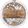 Lovely Highschool Star Face and Body Bronzer - 