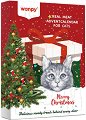 ������� �������� � ��������� �� ����� Wanpy Christmas Calendar - 