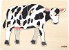 ����� - 