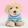 ������� ������� ������������ ��������� - Studio Pets - 