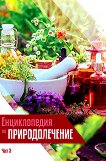 ������������ �� �������������� - ���� 3 - 