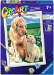     - Ravensburger - 