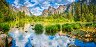 ������ ��������, ��� - 