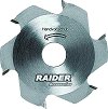     Raider