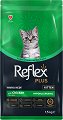 ������������� ���� ����� �� ����� Reflex Plus Kitten - 