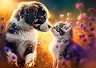 ���� ����������� - 