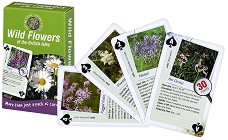 Wild Flowers of the British Isles - Карти за игра - карти
